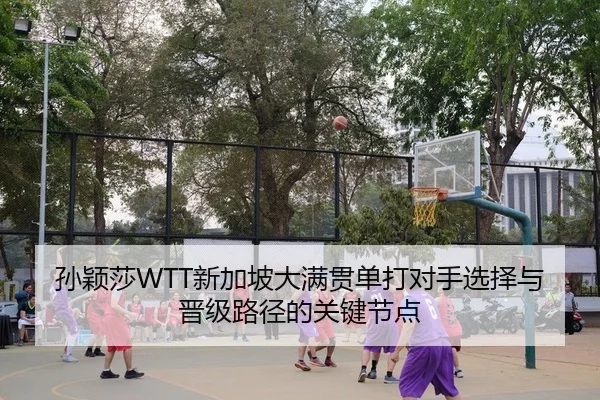 sun-ying-sha-xin-jia-po-da-man-guan-dan-da-dui-shou-xuan-ze-yu-jin-ji-lu-jing-de-guan-jian-jie-dian-2-243.jpg