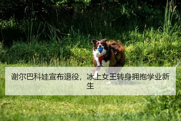xie-er-ba-ke-wa-xuan-bu-tui-yi-bing-shang-nv-wang-zhuan-shen-yong-bao-xue-ye-xin-sheng-2-323.jpg
