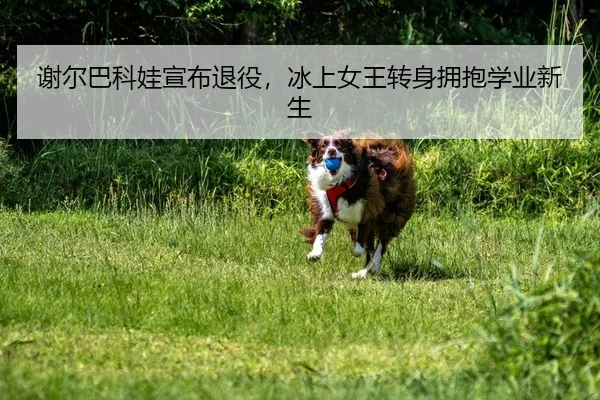 谢尔巴科娃宣布退役，冰上女王转身拥抱学业新生
